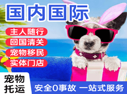富蕴可可托海空运公司国际宠物托运 【国
